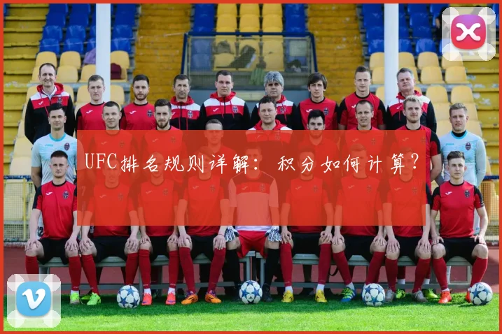 UFC排名规则详解:积分如何计算?