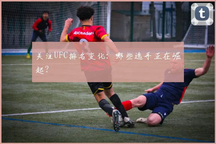 关注UFC排名变化:哪些选手正在崛起?