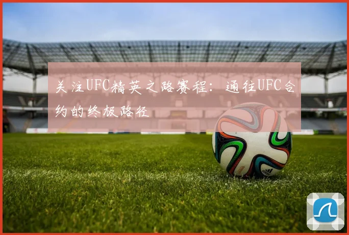 关注UFC精英之路赛程：通往UFC合约的终极路径