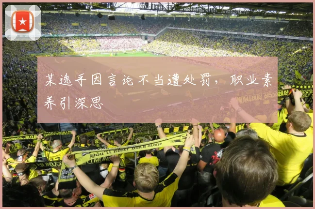某选手因言论不当遭处罚,职业素养引深思