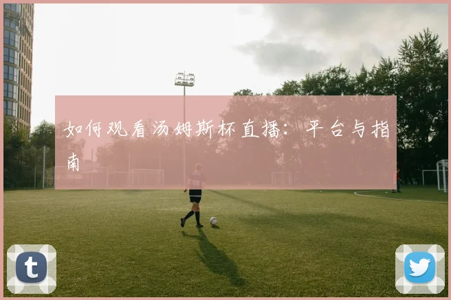 如何观看汤姆斯杯直播:平台与指南