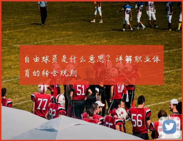 自由球员是什么意思？详解职业体育的转会规则
