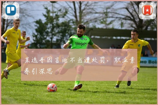 某选手因言论不当遭处罚,职业素养引深思